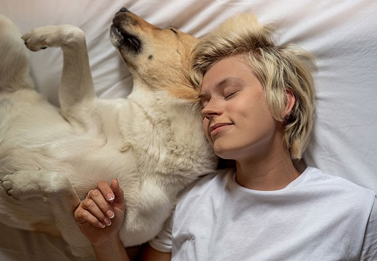 Bark, Snore, Repeat: The Pet Parent’s Guide to Better Sleep for All